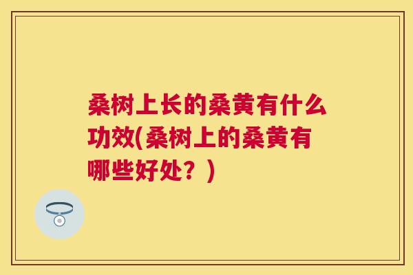 桑树上长的桑黄有什么功效(桑树上的桑黄有哪些好处?) 桑树上长的桑黄有什么功效(桑树上的桑黄有哪些好处?)