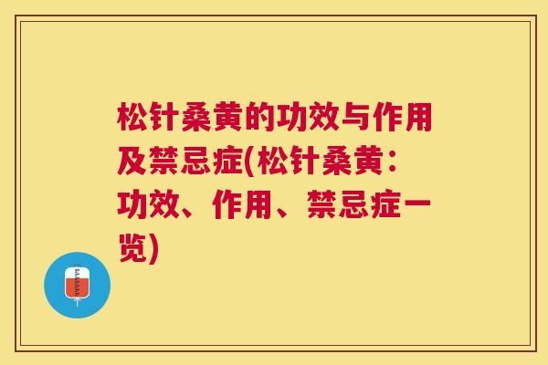 松针桑黄的功效与作用及禁忌症(松针桑黄:功效、作用、禁忌症一览) 松针桑黄的功效与作用及禁忌症(松针桑黄:功效、作用、禁忌症一览)