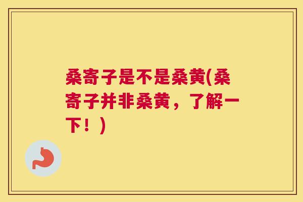 桑寄子是不是桑黄(桑寄子并非桑黄，了解一下！)