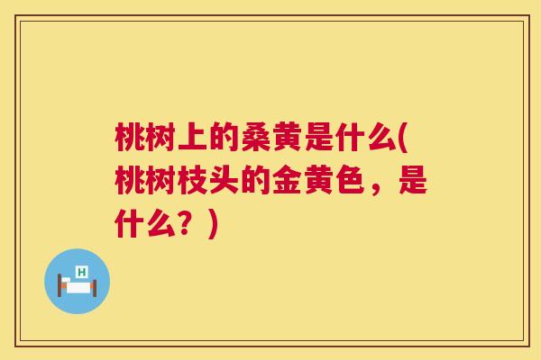 桃树上的桑黄是什么(桃树枝头的金黄色,是什么?) 桃树上的桑黄是什么(桃树枝头的金黄色,是什么?)