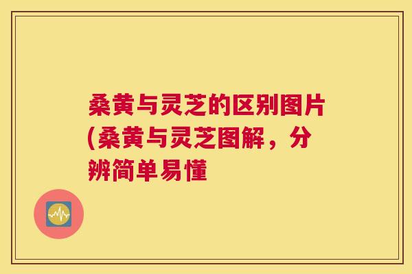 桑黄与灵芝的区别图片(桑黄与灵芝图解,分辨简单易懂 桑黄与灵芝的区别图片(桑黄与灵芝图解,分辨简单易懂