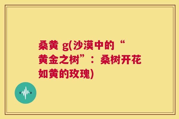 桑黄 g(沙漠中的“黄金之树”:桑树开花如黄的玫瑰) 桑黄 g(沙漠中的“黄金之树”:桑树开花如黄的玫瑰)