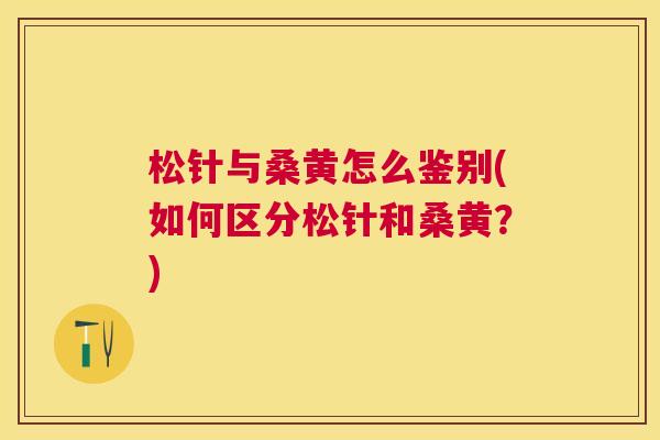 松针与桑黄怎么鉴别(如何区分松针和桑黄?) 松针与桑黄怎么鉴别(如何区分松针和桑黄?)
