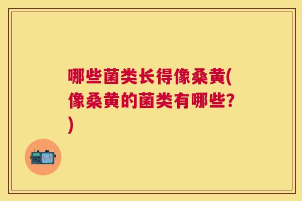 哪些菌类长得像桑黄(像桑黄的菌类有哪些?) 哪些菌类长得像桑黄(像桑黄的菌类有哪些?)