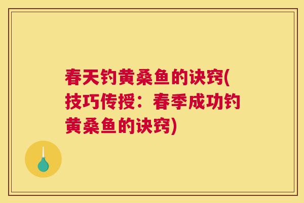 春天钓黄桑鱼的诀窍(技巧传授:春季成功钓黄桑鱼的诀窍) 春天钓黄桑鱼的诀窍(技巧传授:春季成功钓黄桑鱼的诀窍)