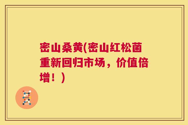 密山桑黄(密山红松菌重新回归市场,价值倍增!) 密山桑黄(密山红松菌重新回归市场,价值倍增!)