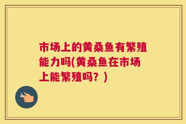 市场上的黄桑鱼有繁殖能力吗(黄桑鱼在市场上能繁殖吗?) 市场上的黄桑鱼有繁殖能力吗(黄桑鱼在市场上能繁殖吗?)