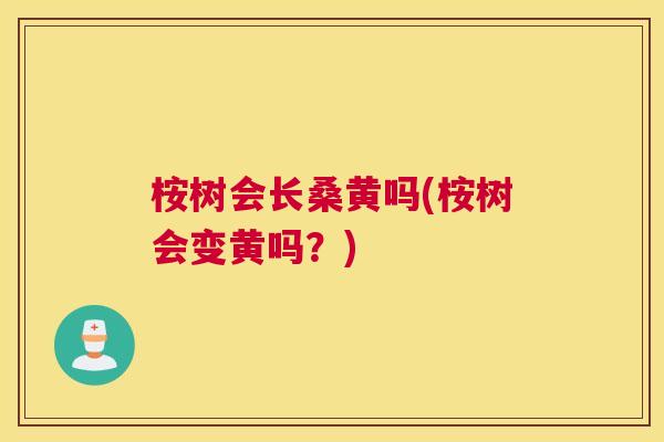 桉树会长桑黄吗(桉树会变黄吗?) 桉树会长桑黄吗(桉树会变黄吗?)