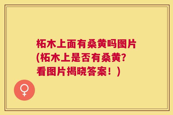 柘木上面有桑黄吗图片(柘木上是否有桑黄?看图片揭晓答案!) 柘木上面有桑黄吗图片(柘木上是否有桑黄?看图片揭晓答案!)
