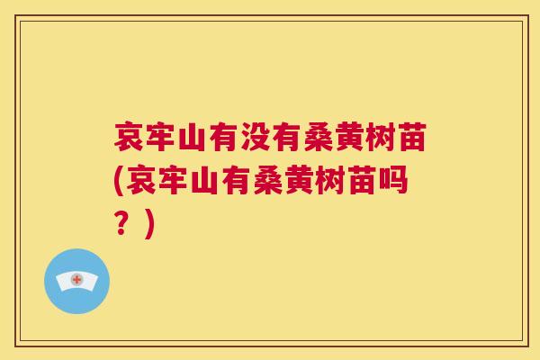 哀牢山有没有桑黄树苗(哀牢山有桑黄树苗吗?) 哀牢山有没有桑黄树苗(哀牢山有桑黄树苗吗?)