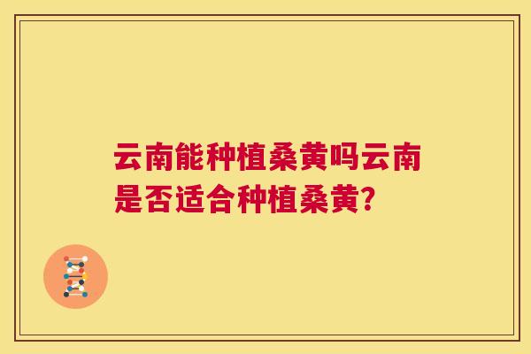 云南能种植桑黄吗云南是否适合种植桑黄? 云南能种植桑黄吗云南是否适合种植桑黄?