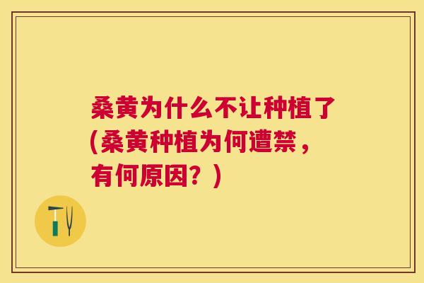 桑黄为什么不让种植了(桑黄种植为何遭禁,有何原因?) 桑黄为什么不让种植了(桑黄种植为何遭禁,有何原因?)