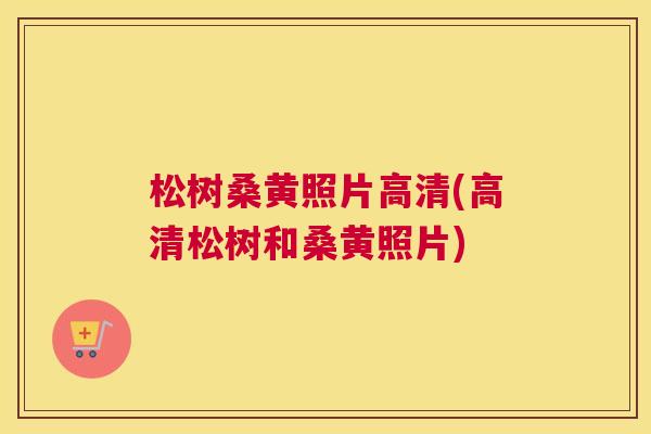 松树桑黄照片高清(高清松树和桑黄照片) 松树桑黄照片高清(高清松树和桑黄照片)