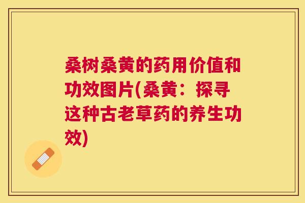 桑树桑黄的药用价值和功效图片(桑黄:探寻这种古老草药的养生功效) 桑树桑黄的药用价值和功效图片(桑黄:探寻这种古老草药的养生功效)