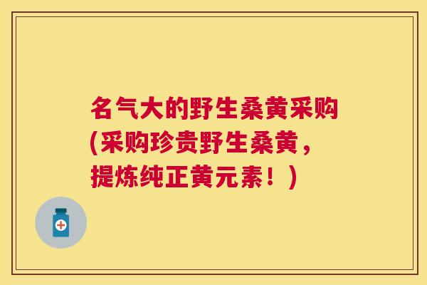 名气大的野生桑黄采购(采购珍贵野生桑黄，提炼纯正黄元素！)