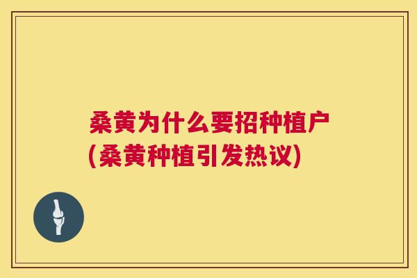 桑黄为什么要招种植户(桑黄种植引发热议)