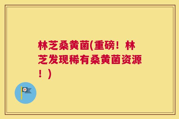 林芝桑黄菌(重磅!林芝发现稀有桑黄菌资源!) 林芝桑黄菌(重磅!林芝发现稀有桑黄菌资源!)