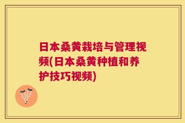 日本桑黄栽培与管理视频(日本桑黄种植和养护技巧视频) 日本桑黄栽培与管理视频(日本桑黄种植和养护技巧视频)