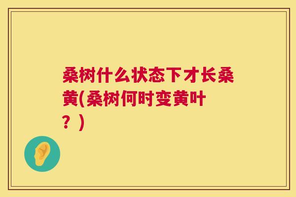 桑树什么状态下才长桑黄(桑树何时变黄叶 ?) 桑树什么状态下才长桑黄(桑树何时变黄叶 ?)