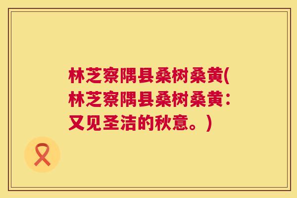 林芝察隅县桑树桑黄(林芝察隅县桑树桑黄:又见圣洁的秋意。) 林芝察隅县桑树桑黄(林芝察隅县桑树桑黄:又见圣洁的秋意。)