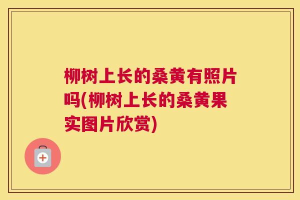 柳树上长的桑黄有照片吗(柳树上长的桑黄果实图片欣赏) 柳树上长的桑黄有照片吗(柳树上长的桑黄果实图片欣赏)