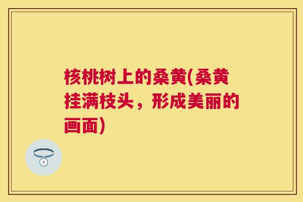 核桃树上的桑黄(桑黄挂满枝头,形成美丽的画面) 核桃树上的桑黄(桑黄挂满枝头,形成美丽的画面)