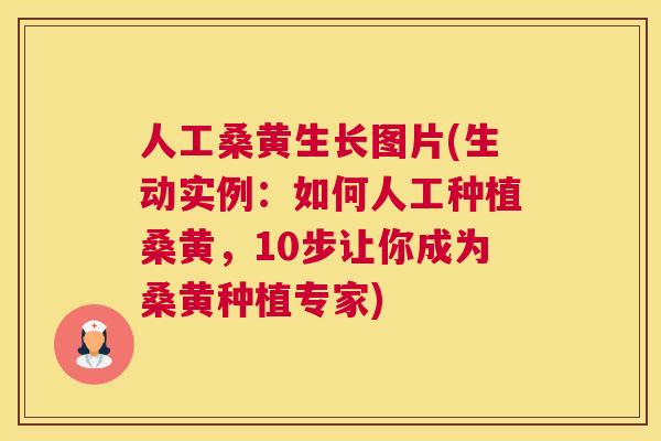 人工桑黄生长图片(生动实例:如何人工种植桑黄,10步让你成为桑黄种植专家) 人工桑黄生长图片(生动实例:如何人工种植桑黄,10步让你成为桑黄种植专家)