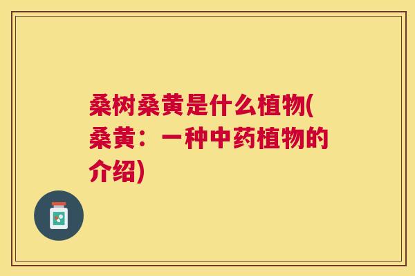 桑树桑黄是什么植物(桑黄：一种植物的介绍)