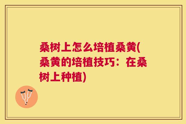 桑树上怎么培植桑黄(桑黄的培植技巧:在桑树上种植) 桑树上怎么培植桑黄(桑黄的培植技巧:在桑树上种植)