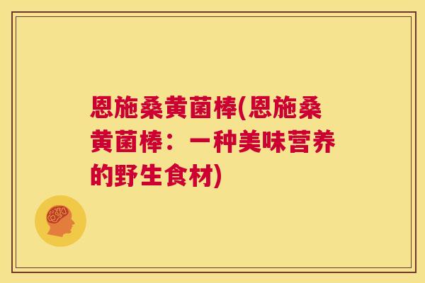 恩施桑黄菌棒(恩施桑黄菌棒:一种美味营养的野生食材) 恩施桑黄菌棒(恩施桑黄菌棒:一种美味营养的野生食材)