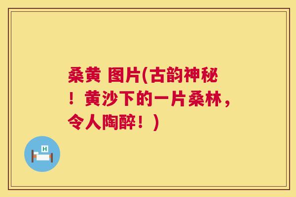 桑黄 图片(古韵神秘!黄沙下的一片桑林,令人陶醉!) 桑黄 图片(古韵神秘!黄沙下的一片桑林,令人陶醉!)