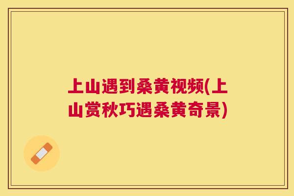 上山遇到桑黄视频(上山赏秋巧遇桑黄奇景) 上山遇到桑黄视频(上山赏秋巧遇桑黄奇景)