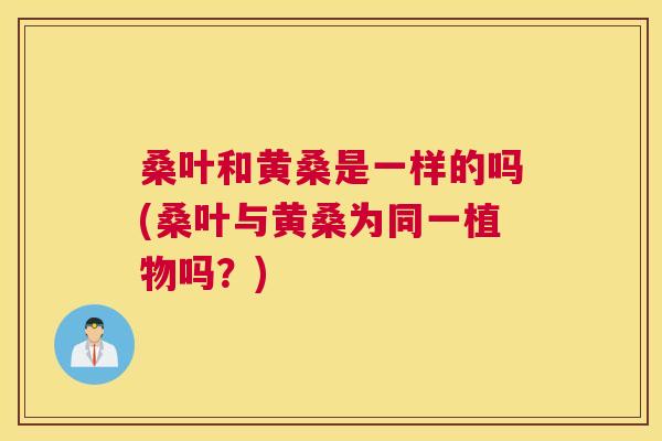 桑叶和黄桑是一样的吗(桑叶与黄桑为同一植物吗?) 桑叶和黄桑是一样的吗(桑叶与黄桑为同一植物吗?)