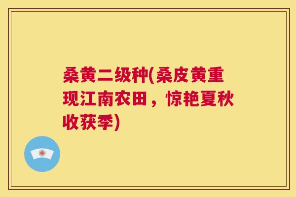 桑黄二级种(桑皮黄重现江南农田,惊艳夏秋收获季) 桑黄二级种(桑皮黄重现江南农田,惊艳夏秋收获季)