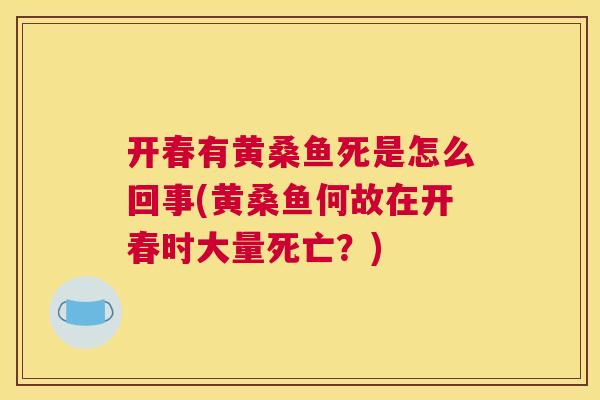 开春有黄桑鱼死是怎么回事(黄桑鱼何故在开春时大量死亡？)