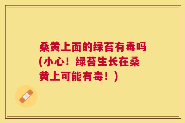 桑黄上面的绿苔有毒吗(小心!绿苔生长在桑黄上可能有毒!) 桑黄上面的绿苔有毒吗(小心!绿苔生长在桑黄上可能有毒!)