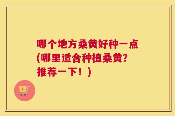 哪个地方桑黄好种一点(哪里适合种植桑黄?推荐一下!) 哪个地方桑黄好种一点(哪里适合种植桑黄?推荐一下!)
