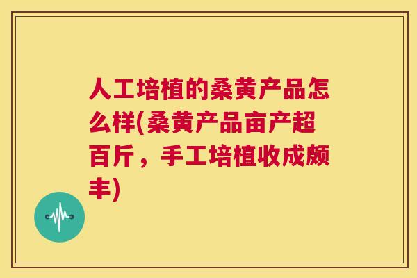 人工培植的桑黄产品怎么样(桑黄产品亩产超百斤,手工培植收成颇丰) 人工培植的桑黄产品怎么样(桑黄产品亩产超百斤,手工培植收成颇丰)