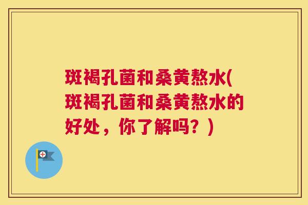 斑褐孔菌和桑黄熬水(斑褐孔菌和桑黄熬水的好处,你了解吗?) 斑褐孔菌和桑黄熬水(斑褐孔菌和桑黄熬水的好处,你了解吗?)