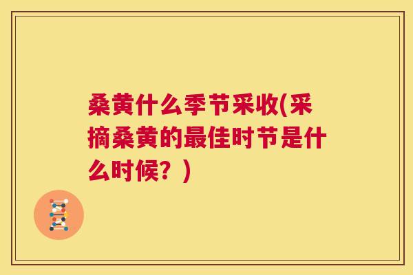 桑黄什么季节采收(采摘桑黄的佳时节是什么时候?) 桑黄什么季节采收(采摘桑黄的佳时节是什么时候?)
