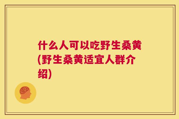 什么人可以吃野生桑黄(野生桑黄适宜人群介绍) 什么人可以吃野生桑黄(野生桑黄适宜人群介绍)