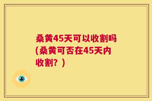桑黄45天可以收割吗(桑黄可否在45天内收割?) 桑黄45天可以收割吗(桑黄可否在45天内收割?)