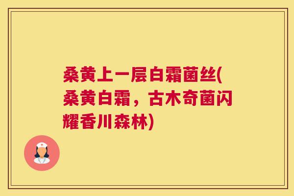 桑黄上一层白霜菌丝(桑黄白霜,古木奇菌闪耀香川森林) 桑黄上一层白霜菌丝(桑黄白霜,古木奇菌闪耀香川森林)