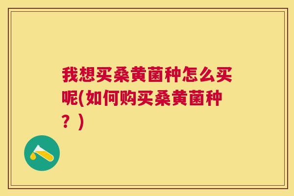 我想买桑黄菌种怎么买呢(如何购买桑黄菌种?) 我想买桑黄菌种怎么买呢(如何购买桑黄菌种?)