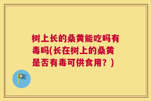 树上长的桑黄能吃吗有毒吗(长在树上的桑黄是否有毒可供食用?) 树上长的桑黄能吃吗有毒吗(长在树上的桑黄是否有毒可供食用?)