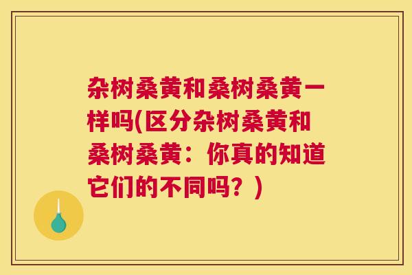 杂树桑黄和桑树桑黄一样吗(区分杂树桑黄和桑树桑黄:你真的知道它们的不同吗?) 杂树桑黄和桑树桑黄一样吗(区分杂树桑黄和桑树桑黄:你真的知道它们的不同吗?)