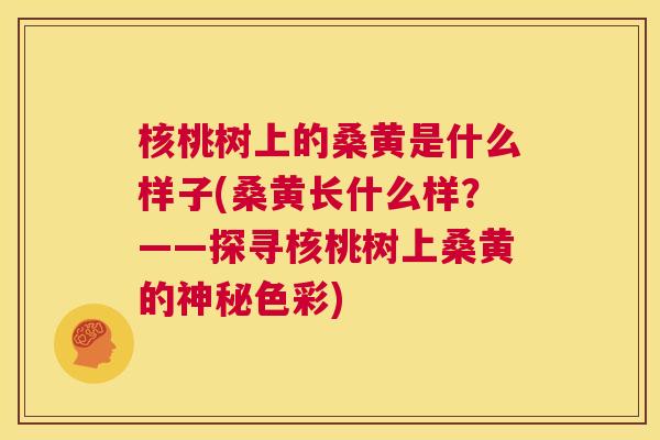核桃树上的桑黄是什么样子(桑黄长什么样?——探寻核桃树上桑黄的神秘色彩) 核桃树上的桑黄是什么样子(桑黄长什么样?——探寻核桃树上桑黄的神秘色彩)