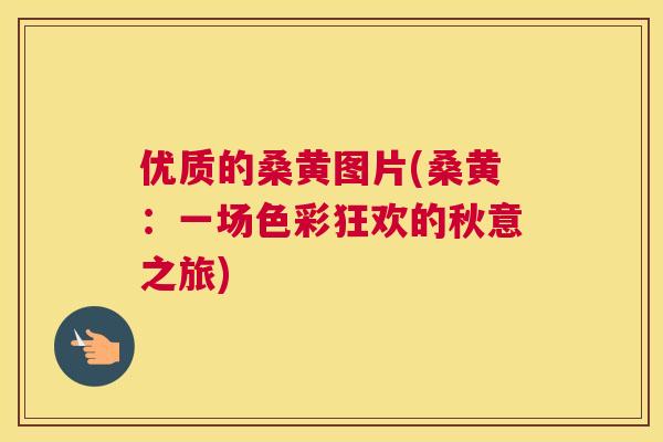 优质的桑黄图片(桑黄:一场色彩狂欢的秋意之旅) 优质的桑黄图片(桑黄:一场色彩狂欢的秋意之旅)