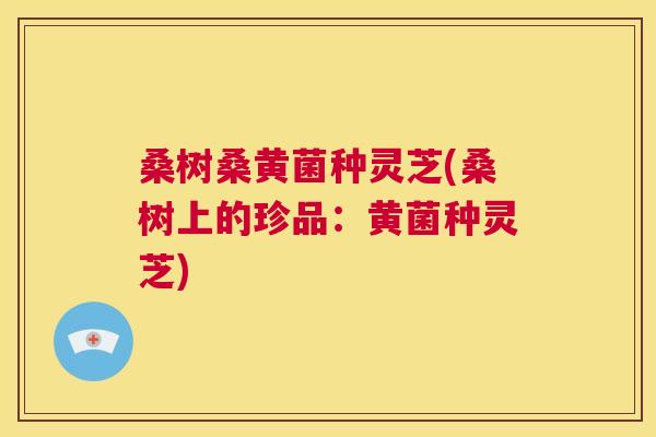 桑树桑黄菌种灵芝(桑树上的珍品:黄菌种灵芝) 桑树桑黄菌种灵芝(桑树上的珍品:黄菌种灵芝)