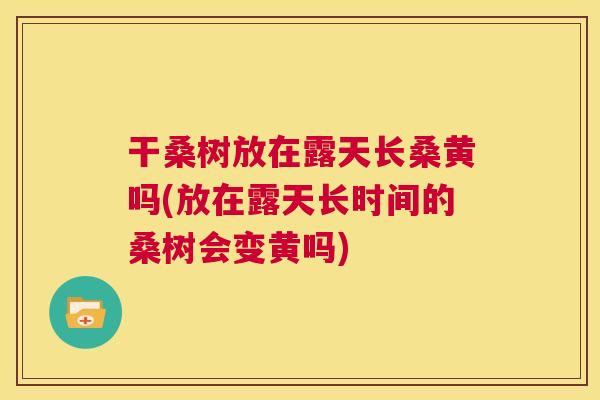 干桑树放在露天长桑黄吗(放在露天长时间的桑树会变黄吗) 干桑树放在露天长桑黄吗(放在露天长时间的桑树会变黄吗)